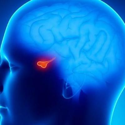 Diagnoza dhe trajtimi i&nbsp;Akromegalisë