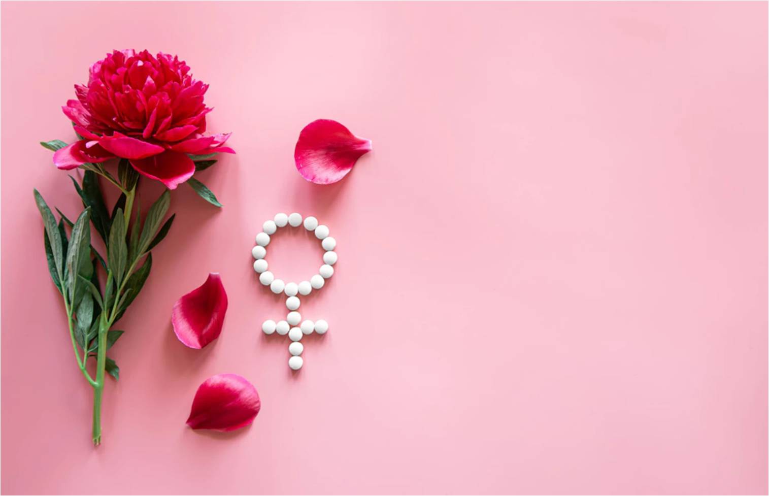 Menopauza