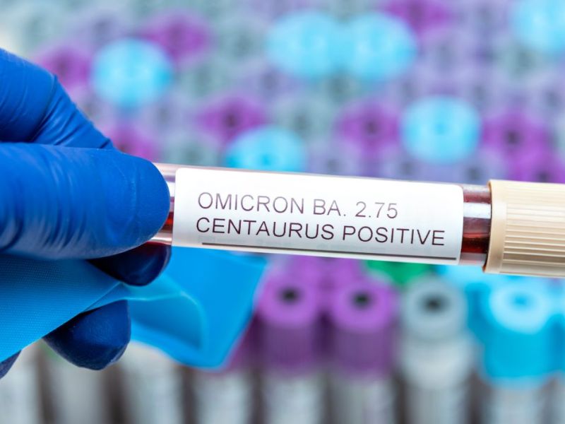 A do të kthehet nënvarianti i Omicronit BA.2.75 në rrezikun e&nbsp;radhës?