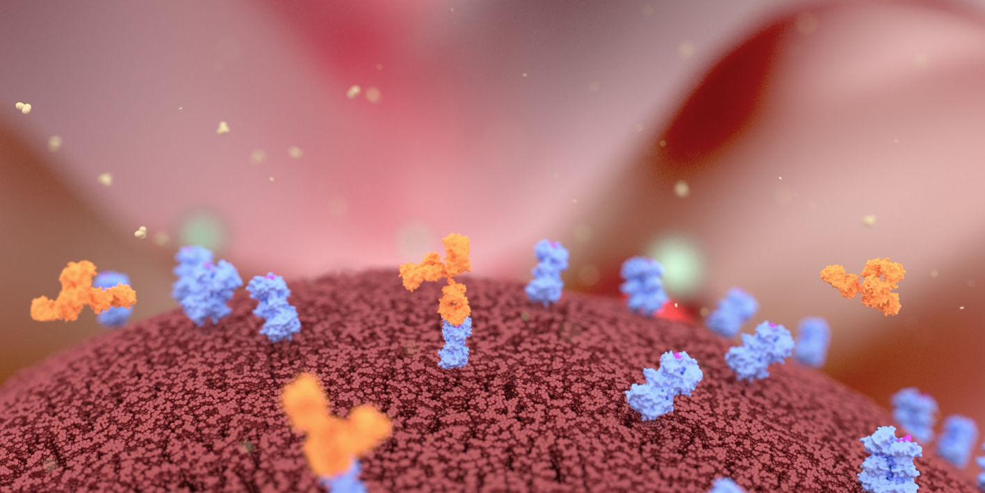 Antibody Drug Conjugates