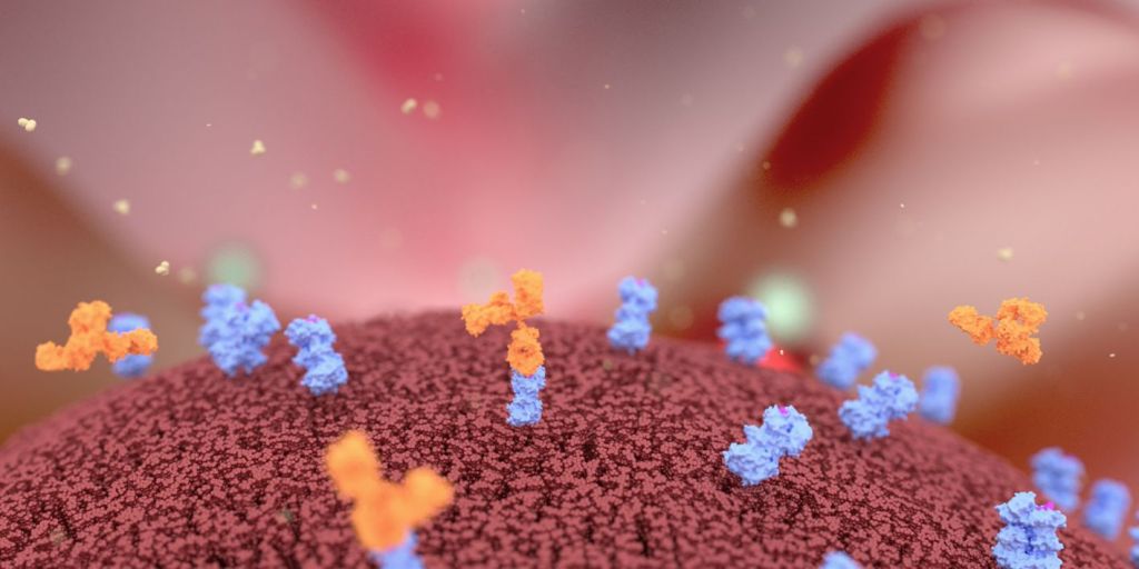 Antibody Drug Conjugates