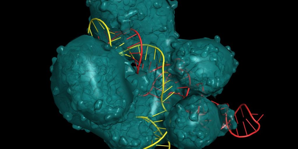 MammaPrint - testi qe tregon nese duhet te kryesh kimioterapi ne kancerin e gjirit.