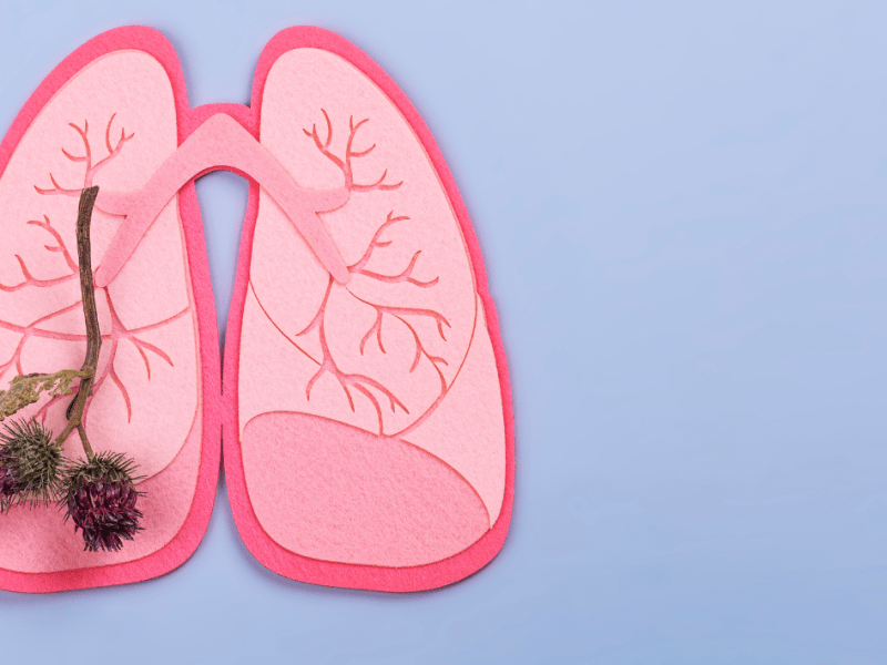 Terapitë më të reja për kancerin e mushkërive dhe mutacionet&nbsp;EGFR