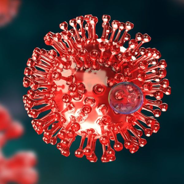 Cilët viruse mund të shkaktojnë&nbsp;kancer?