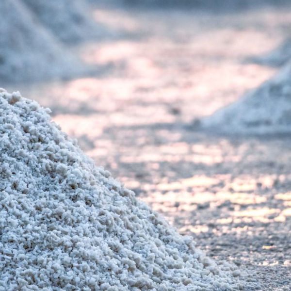 Efekti i jodit të detit te&nbsp;ne