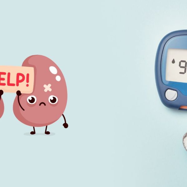 Nefropatia diabetike-shkaktari kryesor i dëmtimit të&nbsp;veshkave