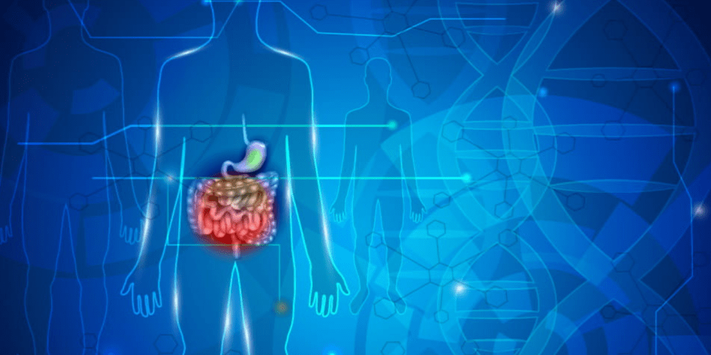 Terapia totale neoadjuvante ne kancerin rektal