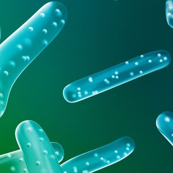 Si të zgjidhni probiotikët më të&nbsp;mirë?