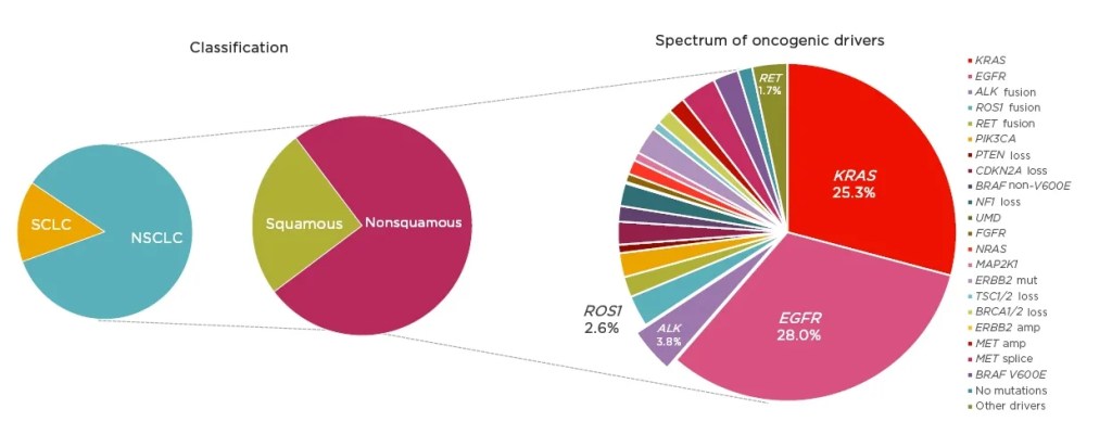 Testet molekuare ne kancerin e mushkerise