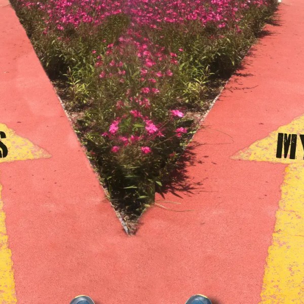 Kanceri: Mitet më të shpeshta dhe&nbsp;faktet