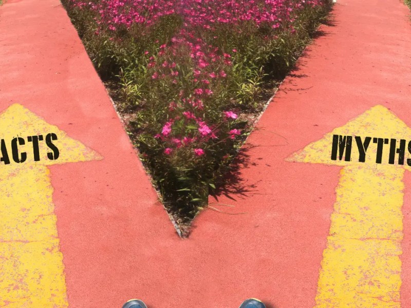 Kanceri: Mitet më të shpeshta dhe&nbsp;faktet