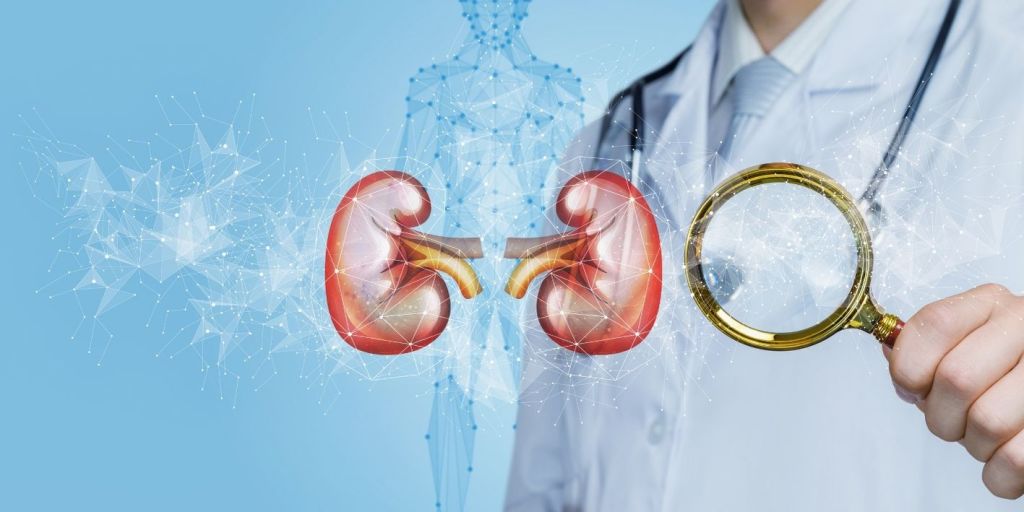 Semundja renale kronike