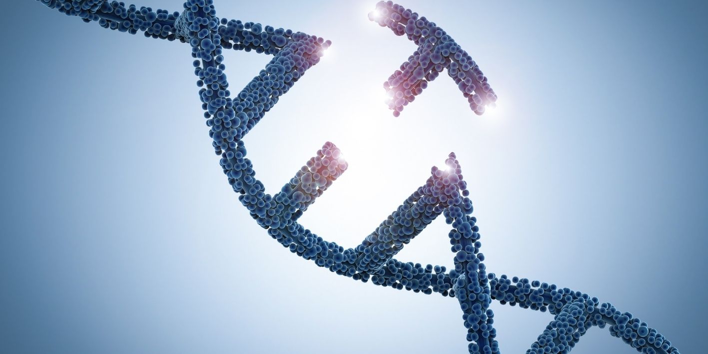 Kanceri i mushkerise