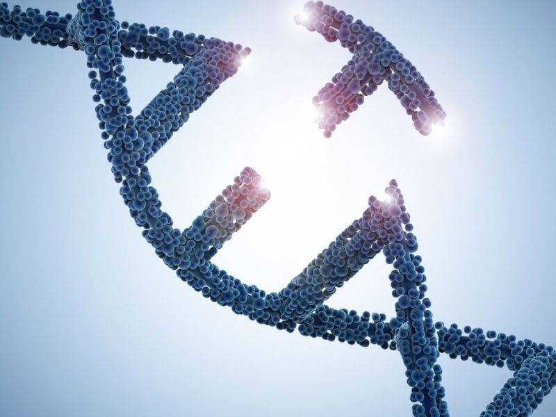 Kanceri i mushkerise – cili është roli i testeve&nbsp;gjenetike?