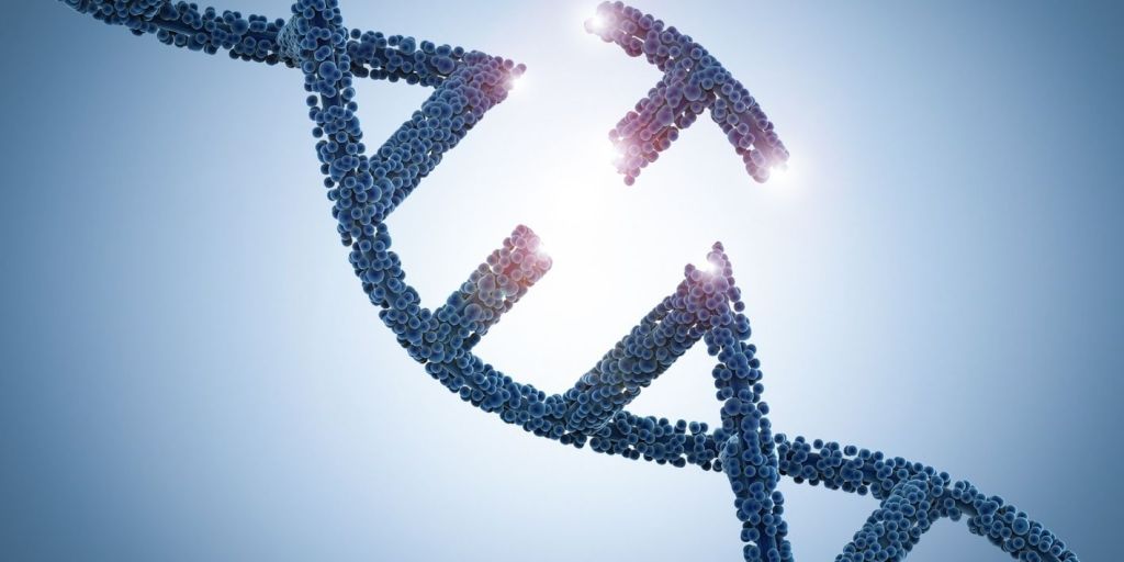 Kanceri i mushkerise