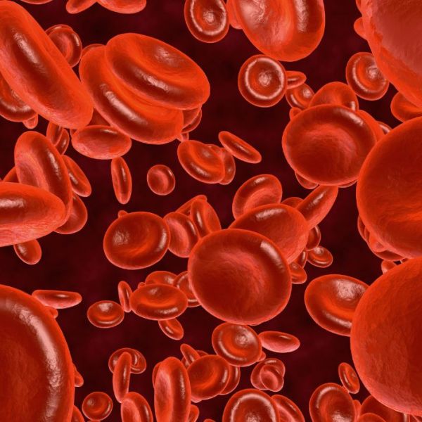 Si mund rrisni nivelin e&nbsp;hemoglobinës?