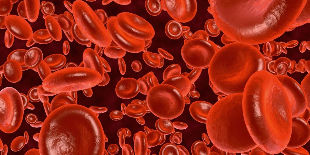 Anemia Hemoglobina