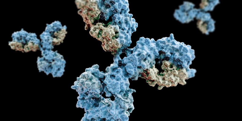 Antitrupat e konjuguar me barna