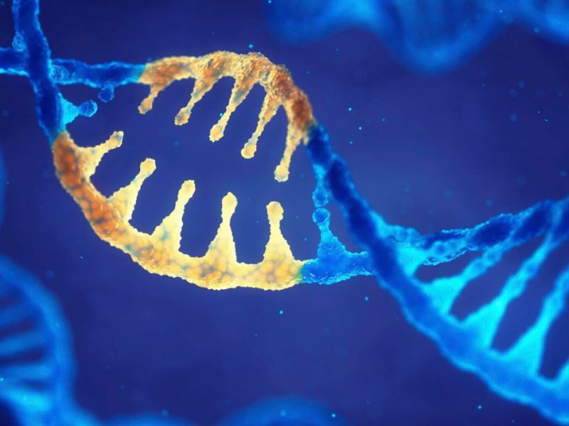 Kanceri i gjirit dhe mutacionet në gjenin&nbsp;BRCA